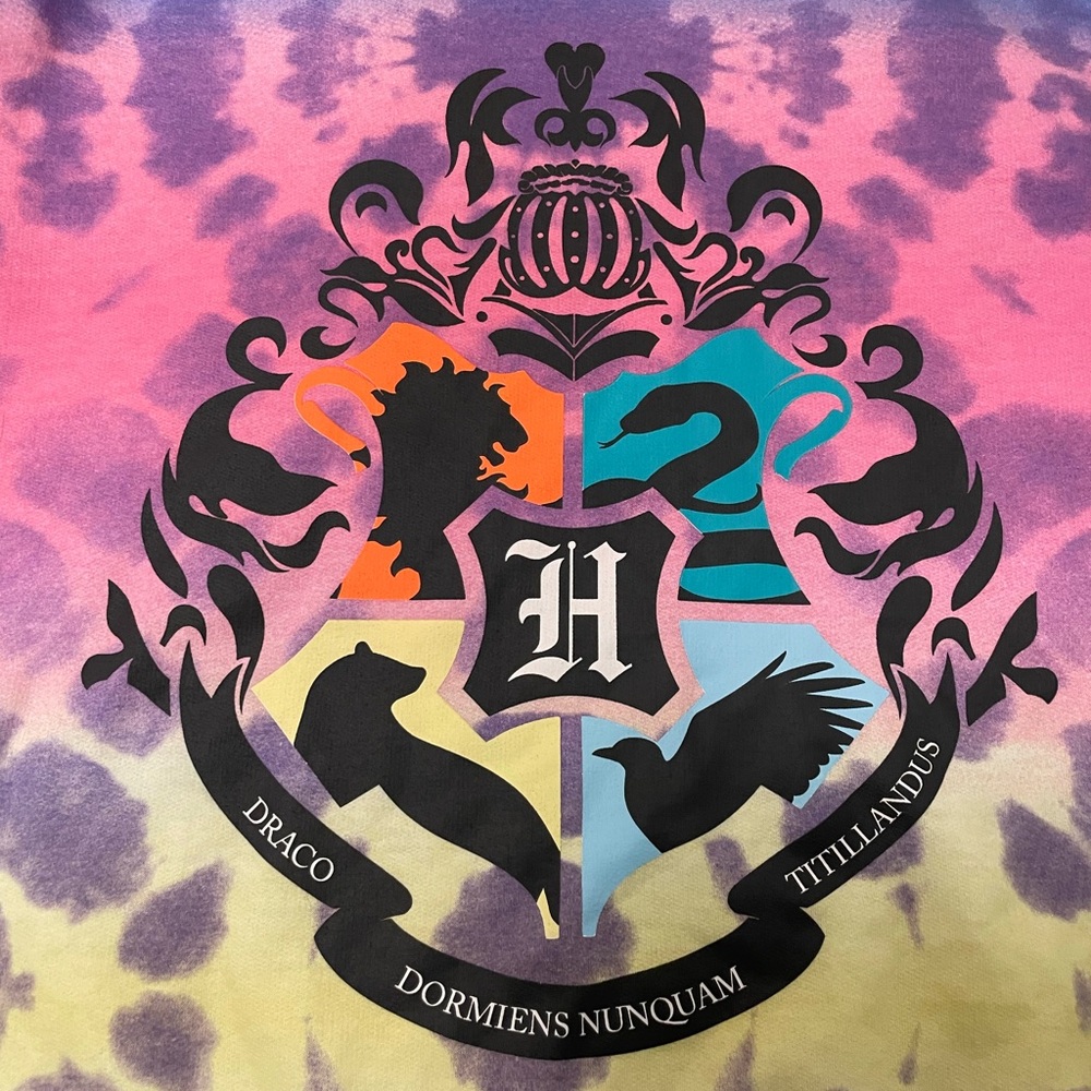 Cute Tie Dye Harry Potter Hogwarts Hoodie - Picture 3 of 5